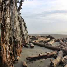 Den Olympic National Park In Washington Erleben! | CANUSA